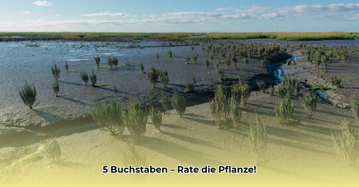 pflanzengattung-5-buchstaben